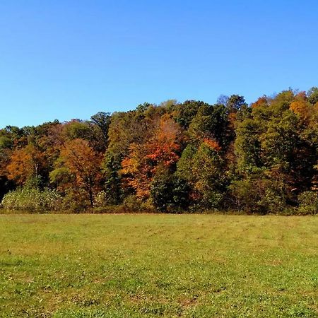 מלון Stella Altenbrauch Farm - Camping In The Hocking Hills מראה חיצוני תמונה