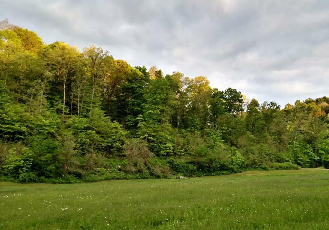 מלון Stella Altenbrauch Farm - Camping In The Hocking Hills מראה חיצוני תמונה